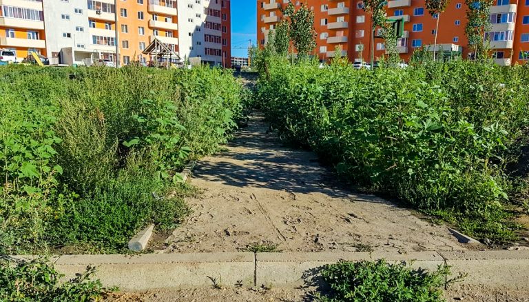 В новом микрорайоне Усть-Каменогорска уход за территорией около новых домов пока беспокоит лишь жильцов