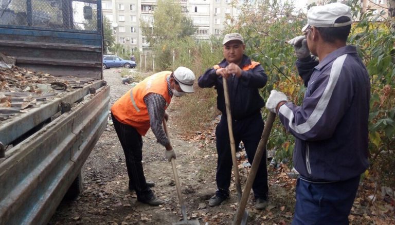 На сообщения о стихийных свалках отреагировали оперативно