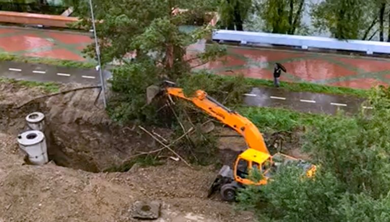 Варварское уничтожение деревьев в городе — ради будущих саженцев