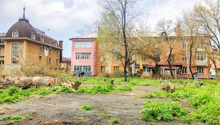 В Усть-Каменогорске под корень вырубают многолетние деревья — ради прогулочной зоны