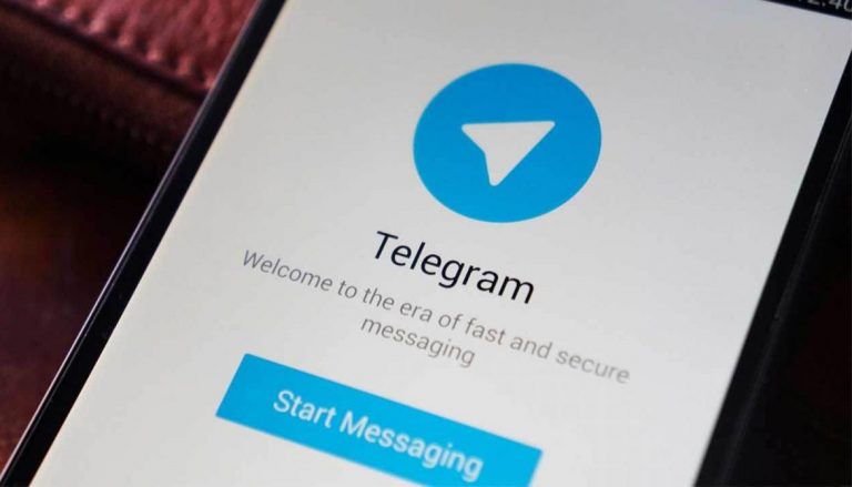 Минобразования создало Telegram-чат, куда можно сообщать о нарушениях прав детей