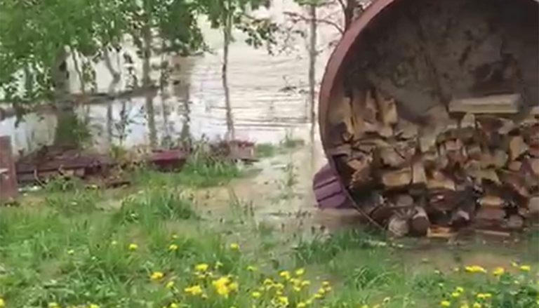 В Тарханке Ульба размывает участки. Власти говорят: пока денег на укрепление берега нет, но планы на это — есть