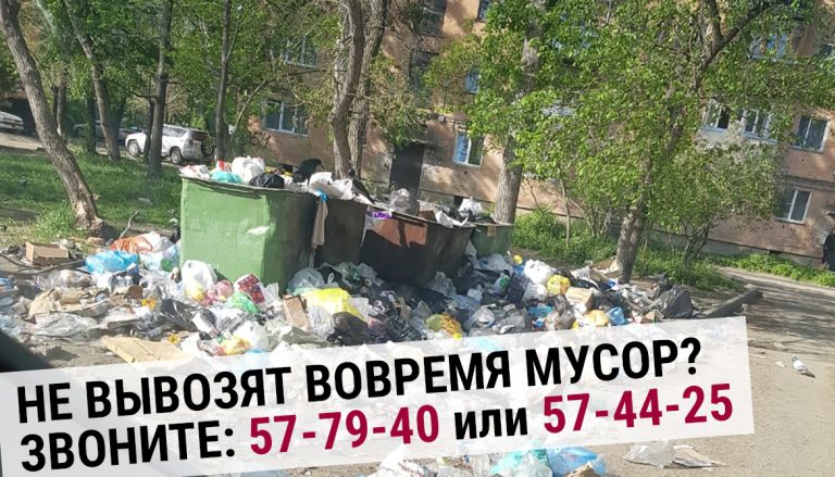 Есть способ борьбы с несвоевременным вывозом мусора — телефонный