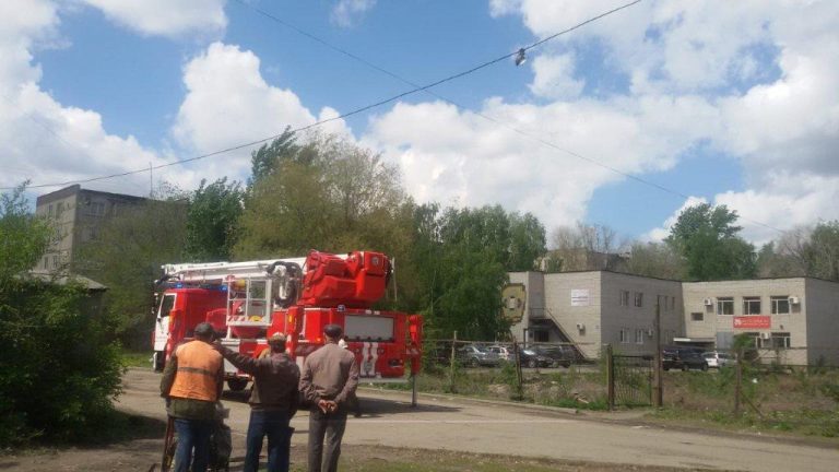 В Усть-Каменогорске пожарные ПЧ-2 произвели спасательную операцию по освобождению голубя
