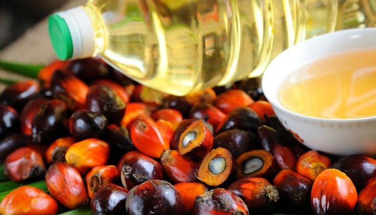 Депутаты мажилиса страны озаботились наличием пальмового масла в продуктах