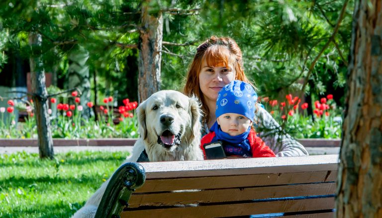 Власти обещают создать площадку для выгула собак в Усть-Каменогорске
