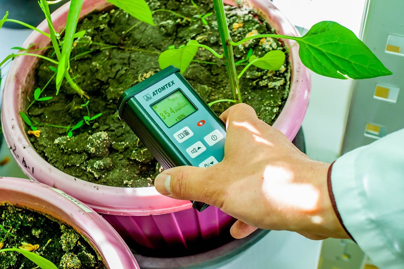 В Национальном ядерном центре изучают, возможна ли жизнь после ...