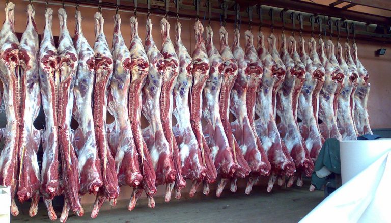 Международные санкции «заморозили» строительство мясокомбината в Семее