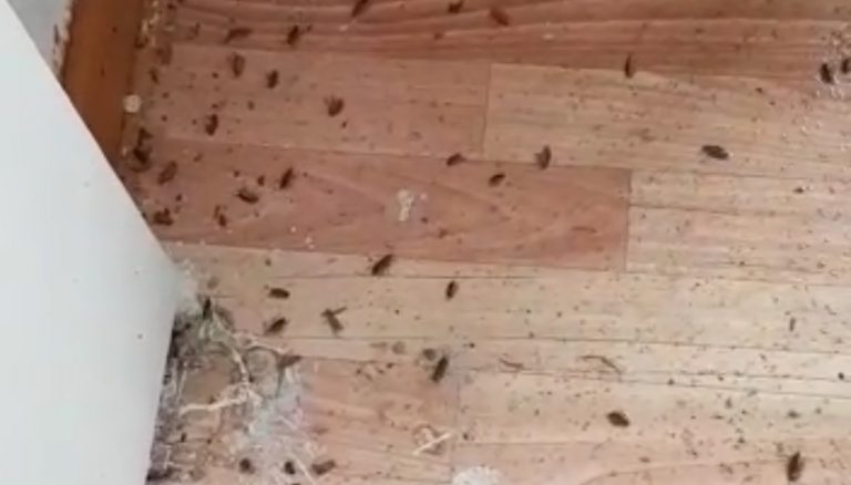 В Усть-Каменогорске люди хотят помочь соседу, но не могут справиться самостоятельно. Просят о помощи. Горакимат сообщил — помогут