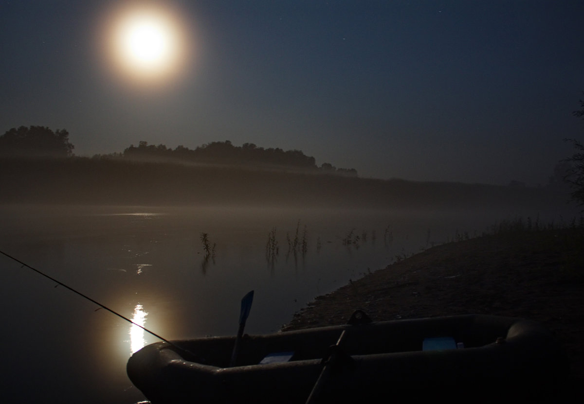 Фото ночной рыбалки лето река