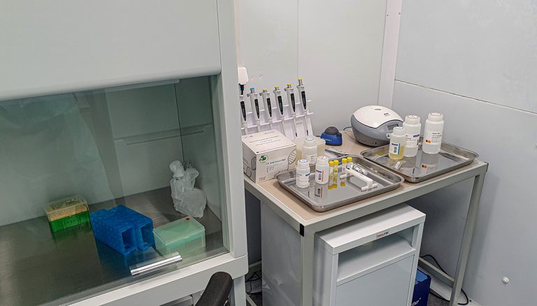KAZ Minerals запустила лабораторию для обработки образцов методом ПЦР для сотрудников: своих и подрядчиков