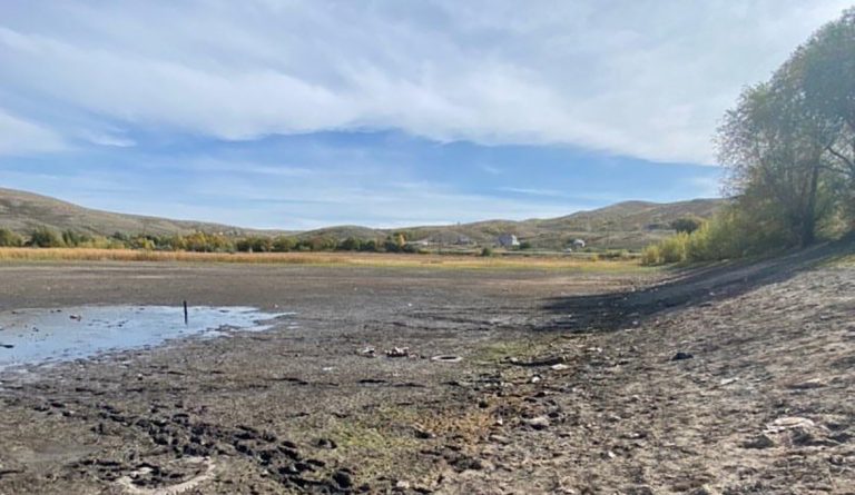 Судьба озера, использованного вопреки закону для водопоя скота, остается неизвестной
