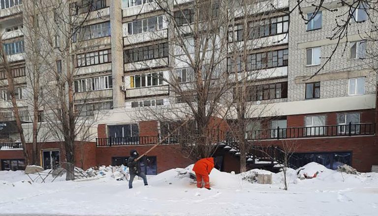В Семее разыскивают неизвестных, срубивших 13 тополей