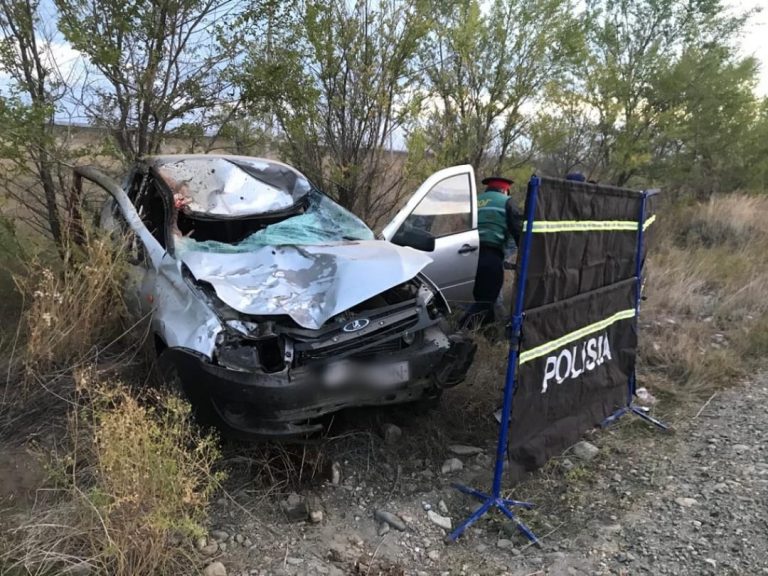 В ВКО в ДТП с лошадью погиб водитель