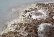 В ВКО назначили внеплановую проверку из-за сброса шахтных вод
